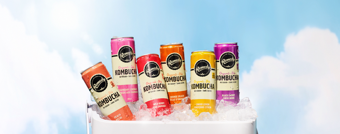 Top 5 Myths About Kombucha