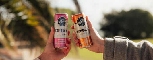 Is Kombucha Alcoholic? [US]