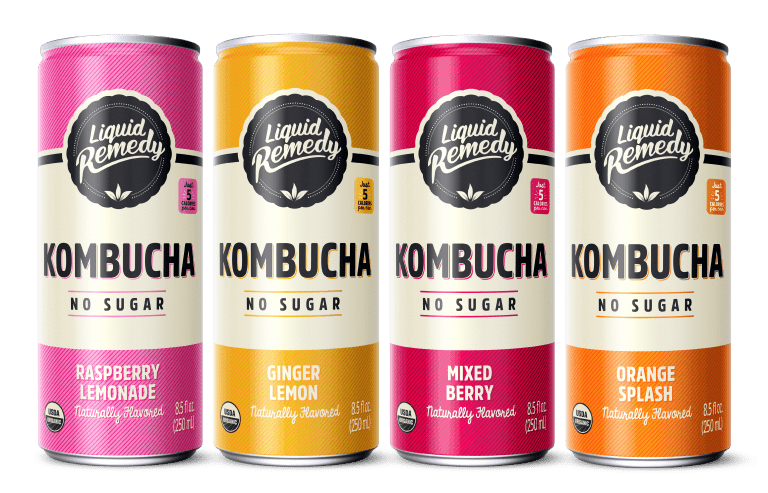 Liquid Remedy Fan Favorites Kombucha Variety Pack Cans
