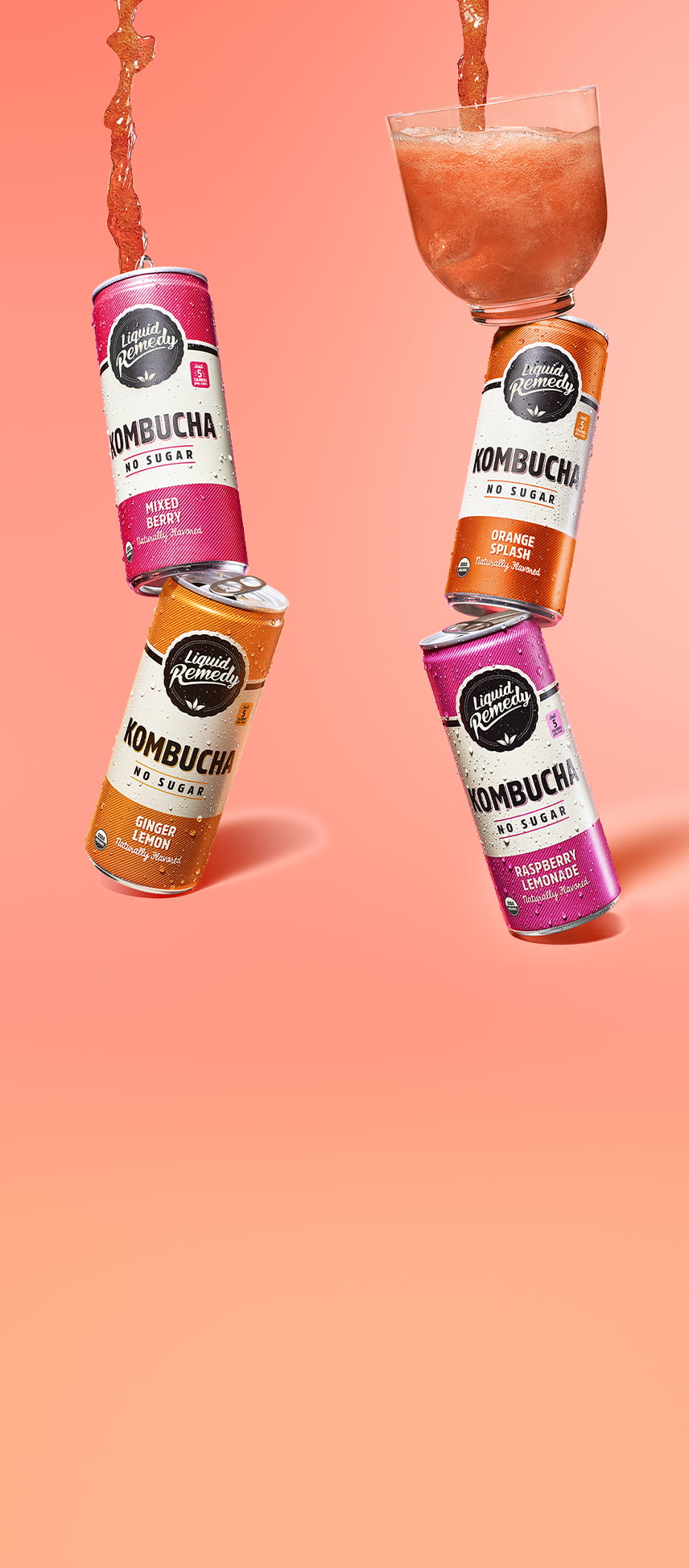 Liquid Remedy Kombucha Cans