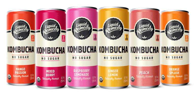 Liquid Remedy Super Sampler Kombucha Variety Pack Cans