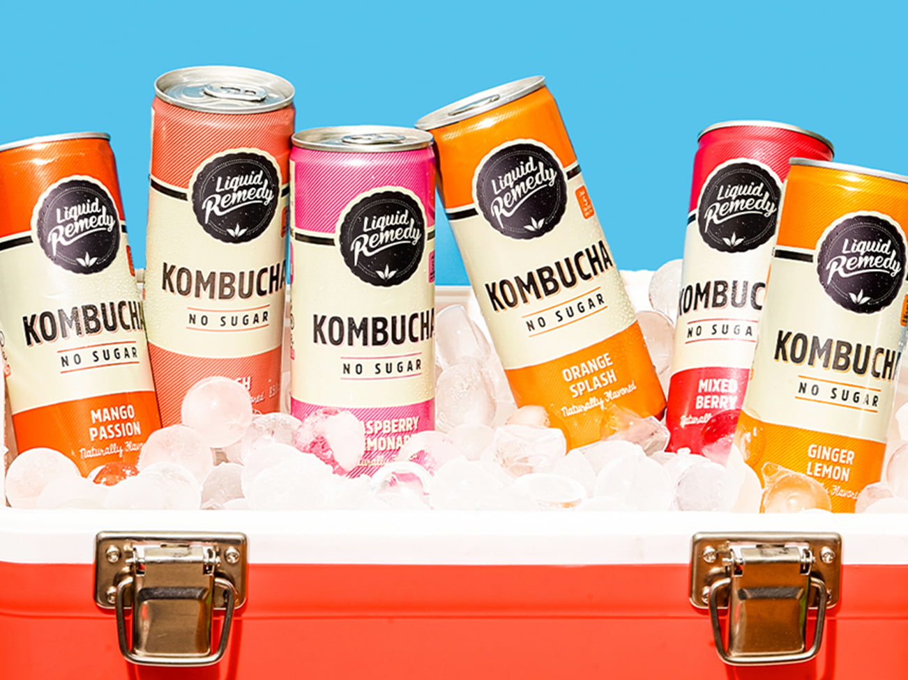 Liquid Remedy Super Sampler Variety Pack Kombucha Cans