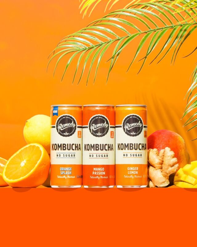 We’re headed to the tropics this summer 😎🌴 Gear up for pool days and warmer temps with our Tropical Trio variety pack! Available on Amazon 💫⁠
⁠
#kombucha #booch #summer #guthealth #healthandwellness #summer2024